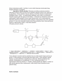 www.speros.lt